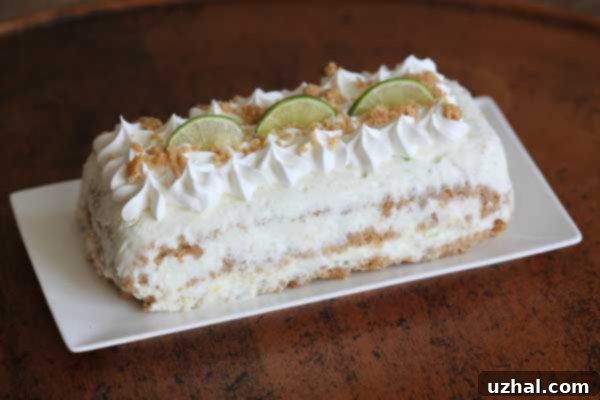 Smaller version of the coconut lime ice cream loaf, suitable for fewer servings, garnished on top.