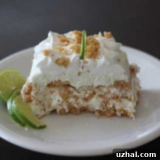 Garnished Coconut Lime Ice Cream Loaf ready for serving, showcasing its fresh and vibrant top.