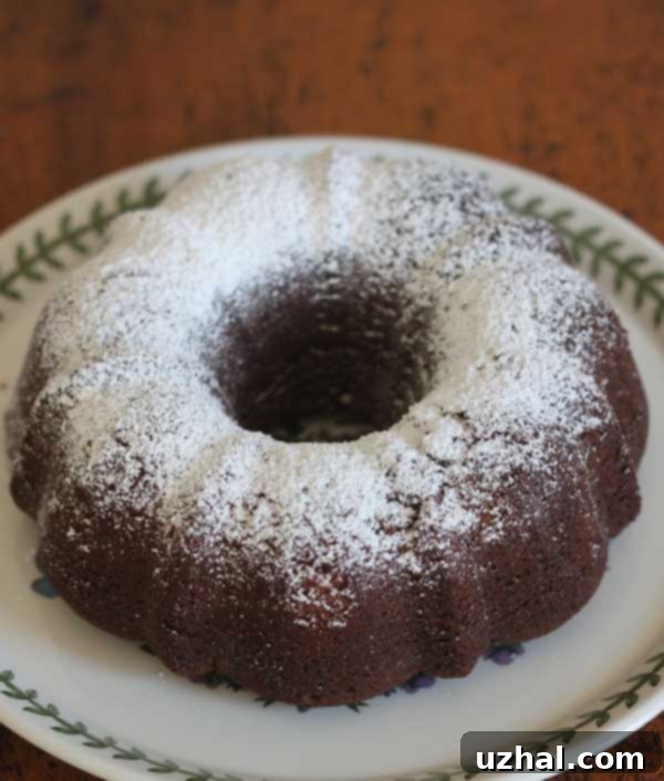 Chocolate Olive Oil Cake