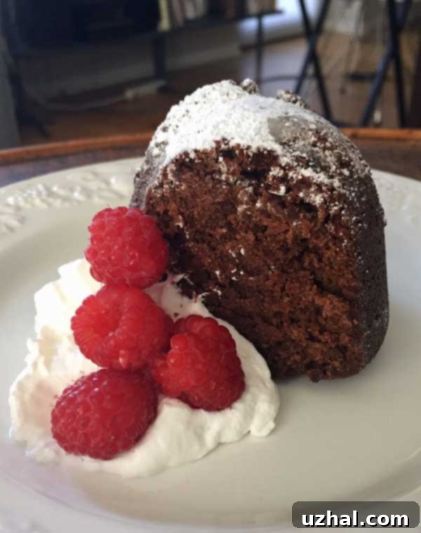Trader Joe's Chocolate Olive Oil Cake