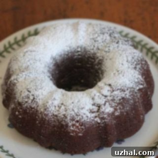 Chocolate Olive Oil Cake
