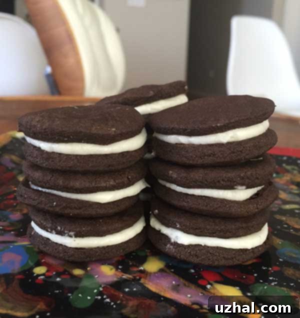 Close-up of Homemade Chocolate Sandwich Cookies