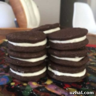 Irresistible Chocolate Sandwich Cookies with Creamy Filling