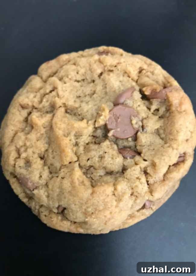 Close-up of a soft and chewy Vegan Date Paste Chocolate Chip Cookie, showing its rich texture and chocolate chips.
