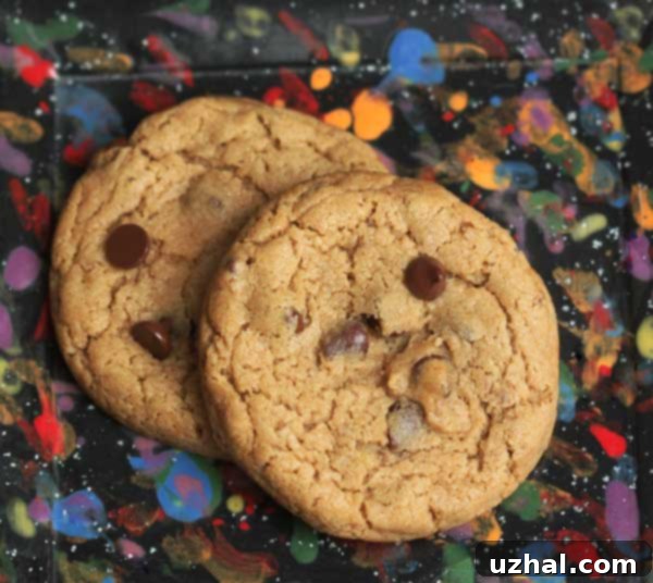 Another batch of Vegan Date Paste Chocolate Chip Cookies, featuring variations in texture and color from recipe testing.