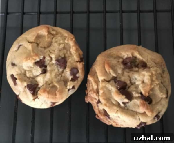 Close-up of a rustic date paste chocolate chip cookie, demonstrating a sandier texture from an earlier test.