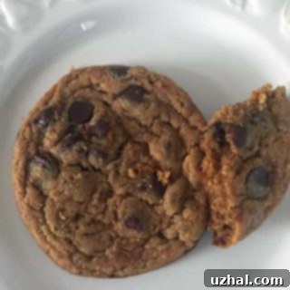 A perfectly baked Vegan Chocolate Chip Cookie with Date Puree, showcasing its soft interior and melted chocolate chips.
