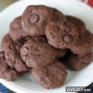 Vegan Double Chocolate Cookies
