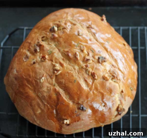 Freshly baked Rosemary Walnut Bread, sliced to show its light texture and walnuts.