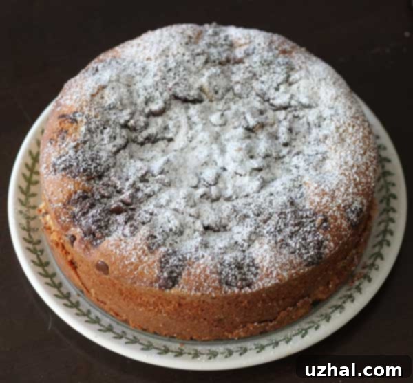 Decadent Chocolate Streusel Coffee Cake with a golden crumb