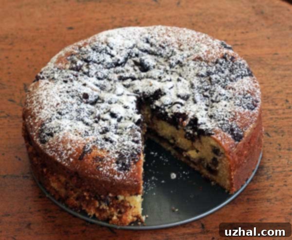 Close-up of chocolate streusel coffee cake, showcasing the chocolate and pecan topping