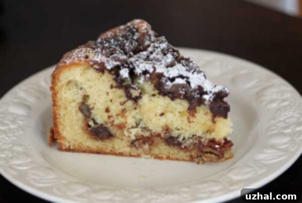 Slice of chocolate streusel coffee cake with visible layers of filling
