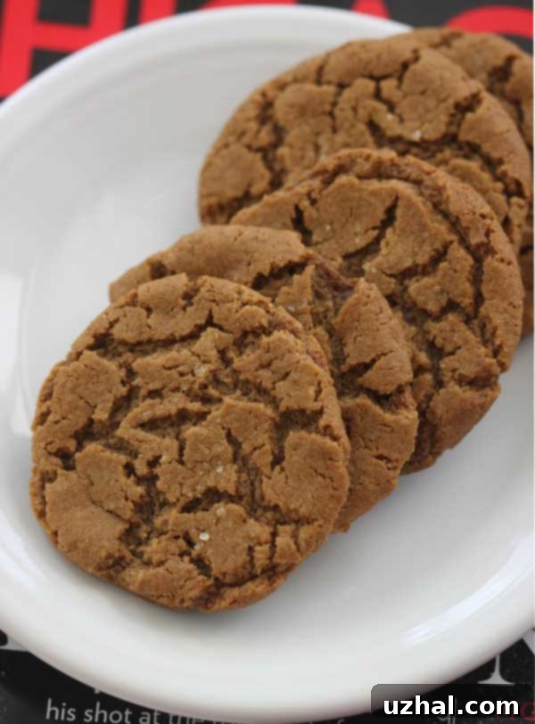 gluten free vegan molasses cookies