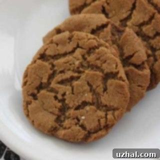 gluten free vegan molasses