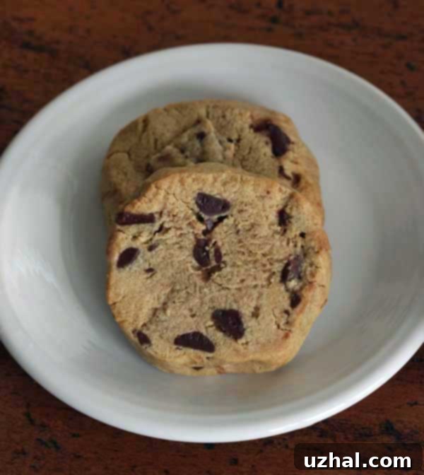 gluten free vegan chocolate chunk
