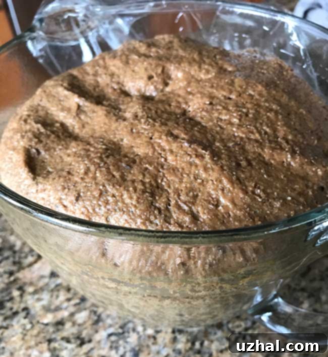 Russian Black Bread dough after its first rise, showing its airy texture