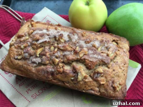Cozy Autumn Cinnamon Apple Cider Loaf 2 Two freshly baked loaves of cinnamon apple cider bread, one topped with walnuts.