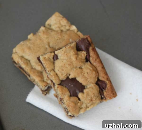 Revel Bars also known as Oatmeal Fudge Bars or Fudge Jumbles.