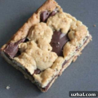 Fudge Revel