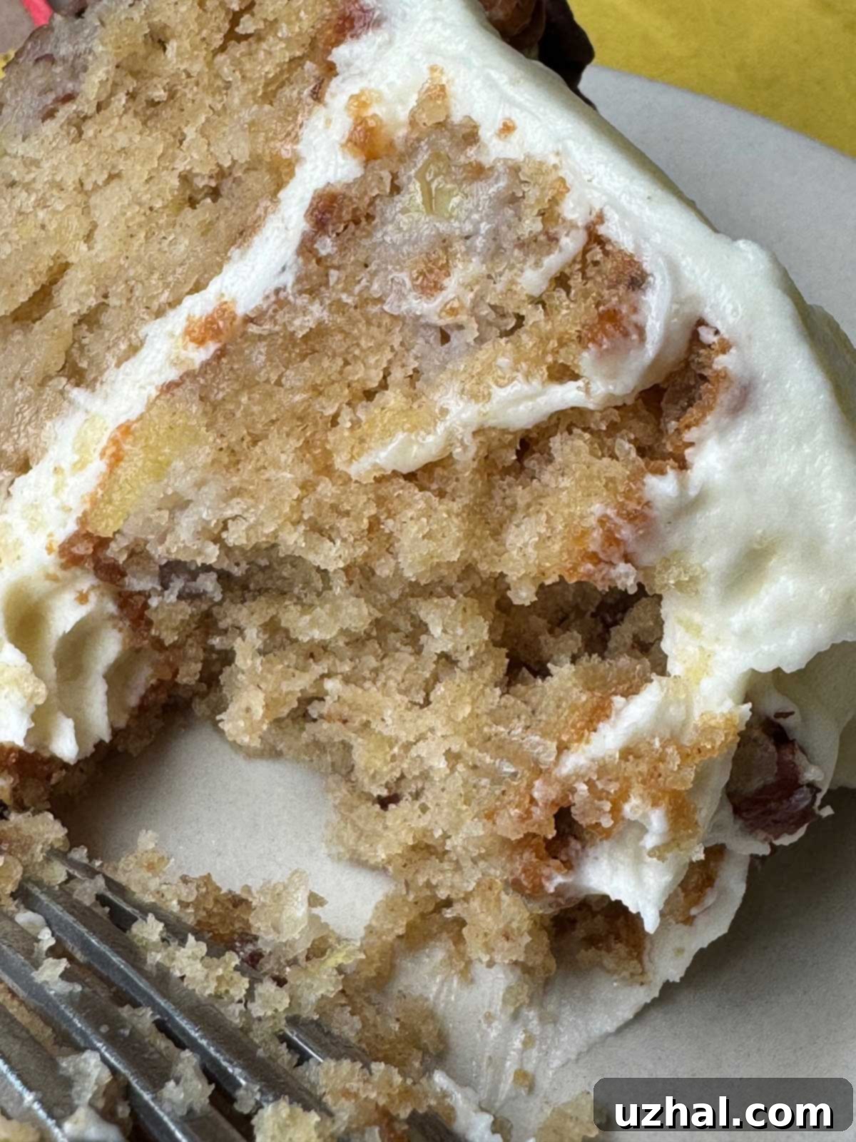 Six Inch Pan Hummingbird Cake texture