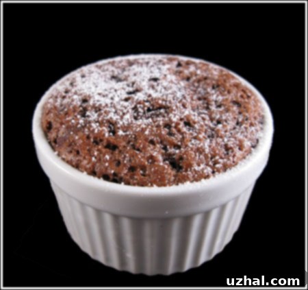 Hot Chocolate Fudge Cake from Cooking Light