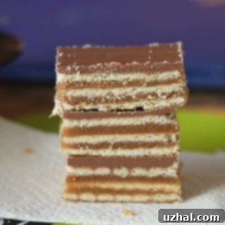 Soda Cracker Bar Cookies