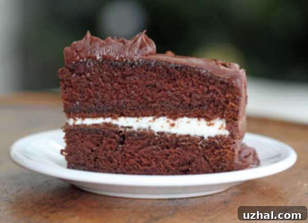 Double Layer Chocolate Cake Made With Brown Sugar