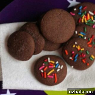 Warm Spiced Chocolate Cookies 3 Chocolate Spice Cookies