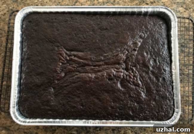 A versatile Classic Chocolate Cake recipe, effortlessly prepared as a single-layer 9x13 inch sheet cake, perfect for larger gatherings.