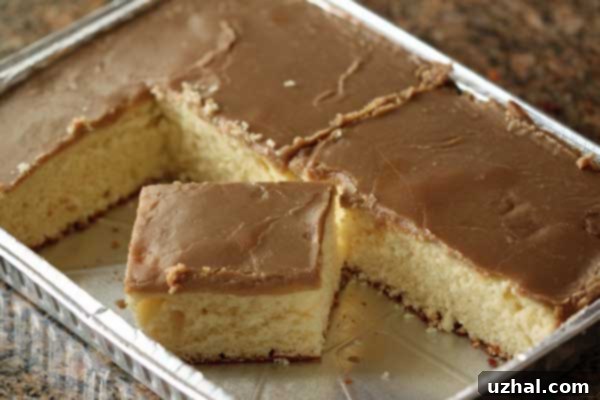 Potluck Caramel Cake with quick caramel frosting, baked in a disposable 9x13 inch pan.