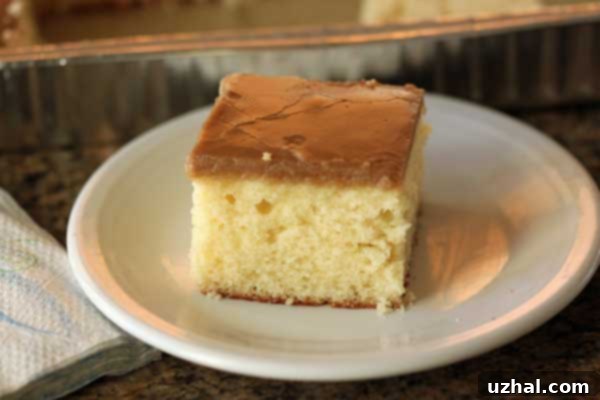 Close-up of a slice of Potluck Caramel Cake, showing its moist texture and rich caramel frosting.