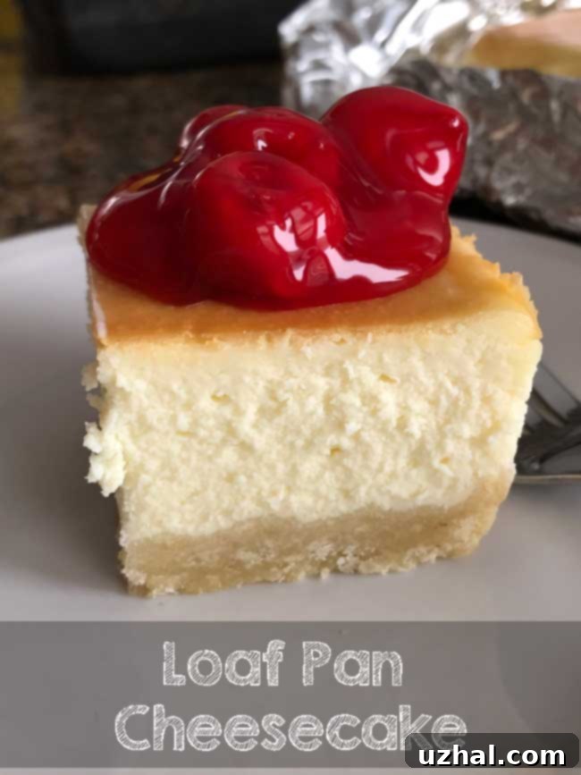 Delicious Loaf Pan Cheesecake with bright red Morello Cherries on top, ready to be served.
