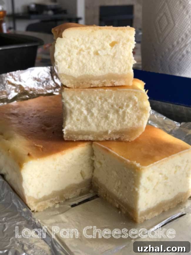 Close-up of a New York Style Loaf Pan Cheesecake, showing its creamy texture and golden crust.