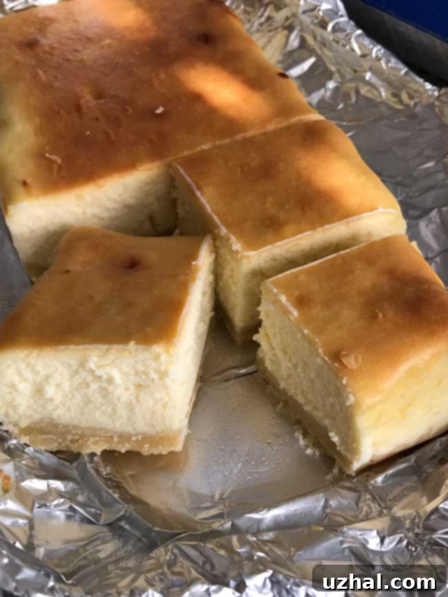 Ingredients for a shortbread crust, including melted butter and flour, ready for mixing.