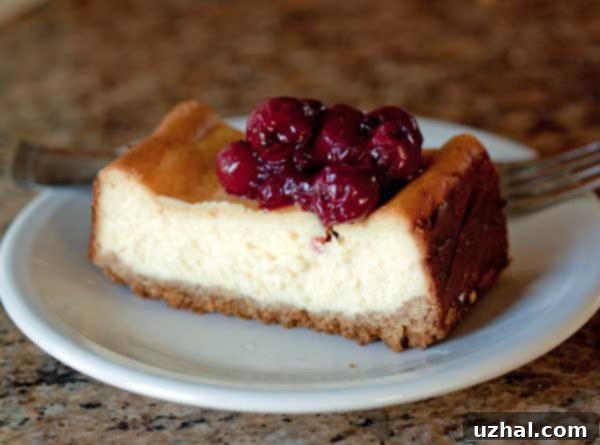 A loaf pan cheesecake recipe with a rich, vibrant topping made from fresh Morello cherries.