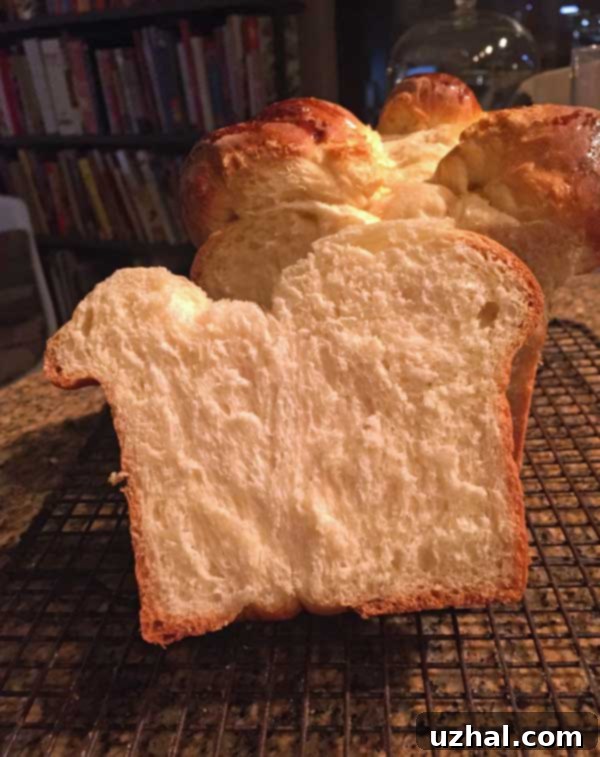 Large loaf pan ready for challah dough
