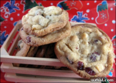 Homemade Cranberry Bliss Cookies