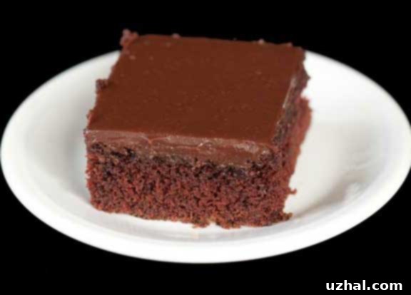 Chocolate Buttermilk Cake