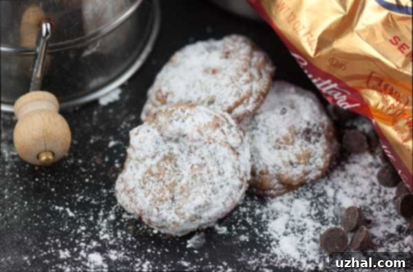 Festive Chocolate Chip Spice Cookies for Cookie Exchange