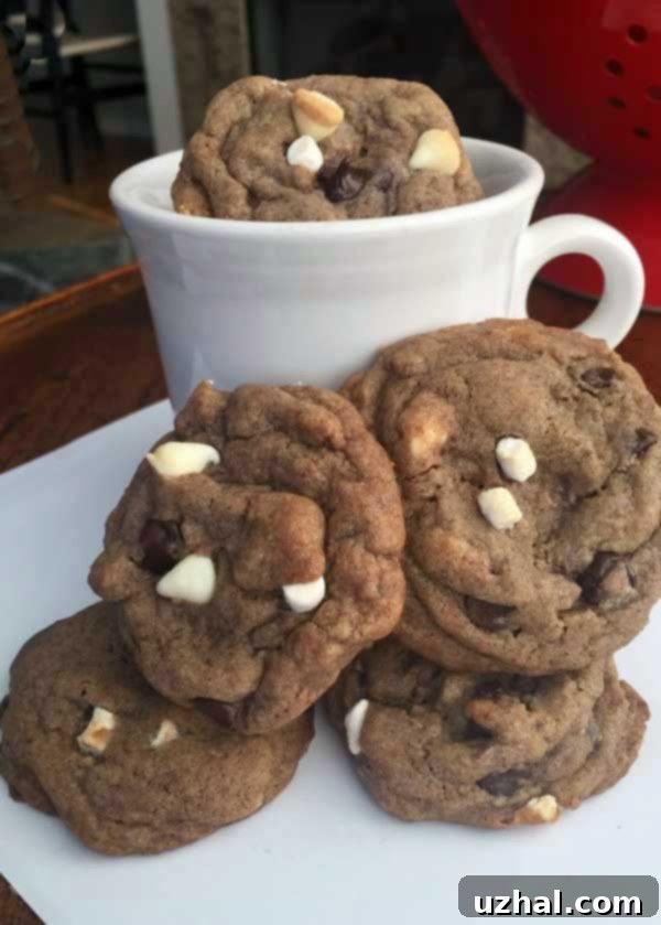 Delicious Hot Cocoa Cookies for Holiday Cookie Exchange