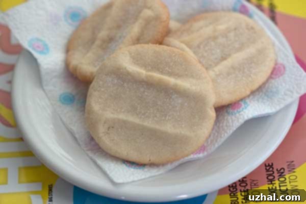 Classic Chicago Public School Butter Cookies