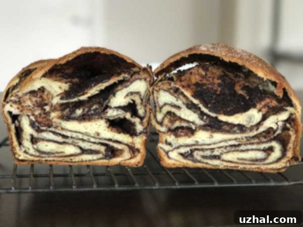 Rich Chocolate Swirl Loaf 2 Delicious baked Chocolate Swirl Bread, showcasing its beautiful twisted pattern and golden crust.