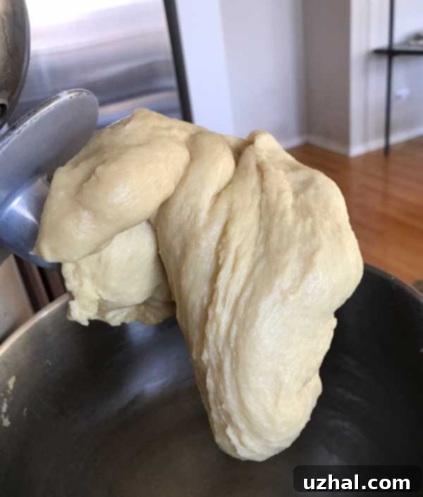 Rich Chocolate Swirl Loaf 3 Soft and elastic chocolate swirl bread dough in a stand mixer bowl, ready for its first rise.