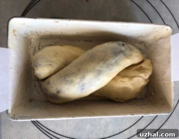 Rich Chocolate Swirl Loaf 6 Unbaked chocolate swirl bread loaf, brushed with egg white and sprinkled with cinnamon sugar, ready for the oven.