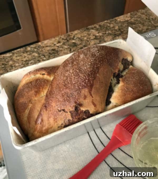 Rich Chocolate Swirl Loaf 8 Freshly baked Chocolate Swirl Bread, golden brown and perfectly risen, showcasing the beautiful swirls inside.
