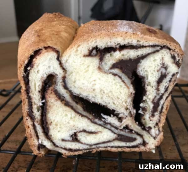 Rich Chocolate Swirl Loaf 9 Close-up of a slice of Chocolate Swirl Bread, showing smaller, evenly distributed air bubbles after a single rise.