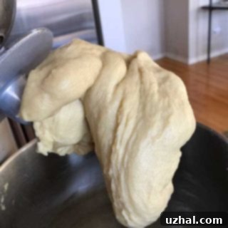 Rich Chocolate Swirl Loaf 10 Easy homemade chocolate babka, a delicious and rich swirl bread.