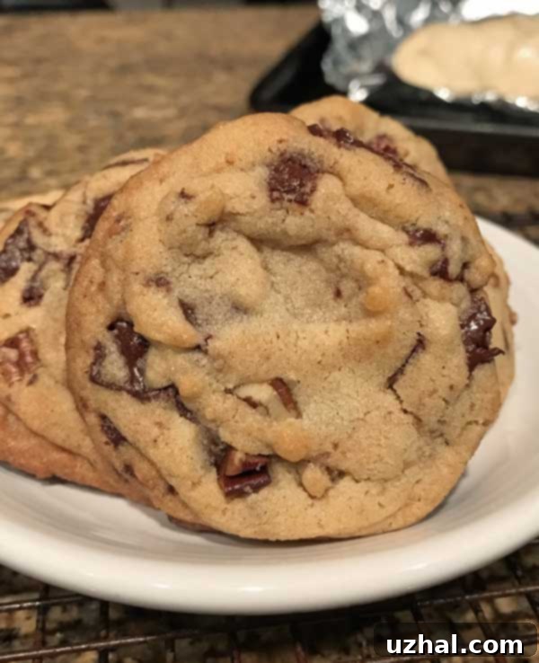 Michelle Obama's Chocolate Chip Cookies