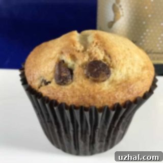 Champagne Banana Muffins