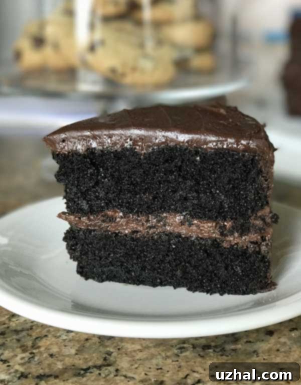 Hershey's Black Magic Cake - a rich and moist chocolate cake recipe, perfect for any celebration
